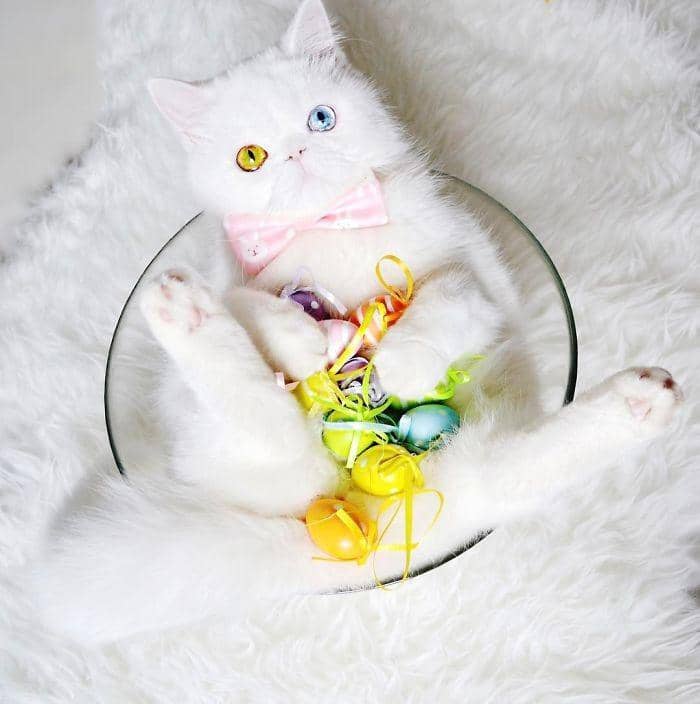 Instagram/missypampam