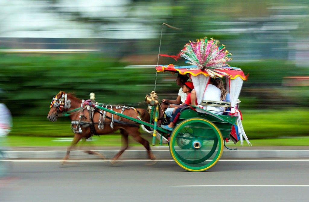 [OPINI] Kisah Pilu Kuda Penarik Andong di Yogyakarta, Kamu Pasti Sedih Membacanya