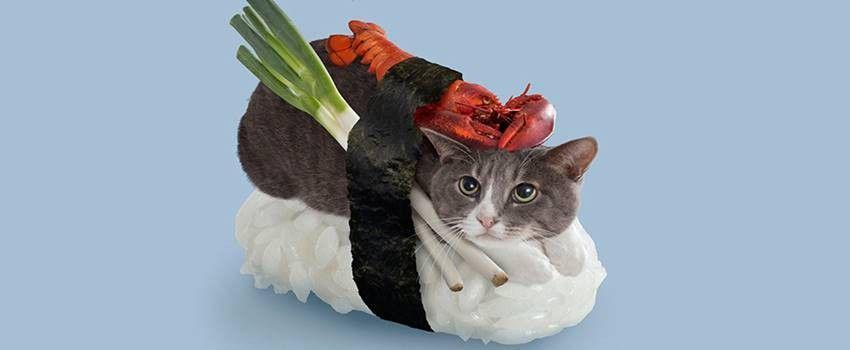 5 Sushi dengan Bahan Teraneh! Berani Coba?