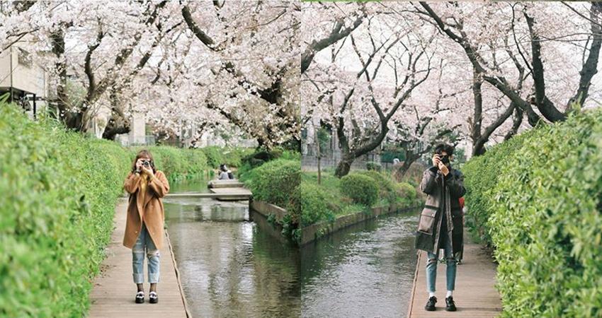 Pasangan Ini Bandingkan Kamera Leica vs. Olympus Pakai Cara Paling Romantis