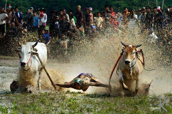 Inilah 5 Festival Budaya Sepanjang Bulan Mei di Sumatera Barat Sebelum Ramadhan