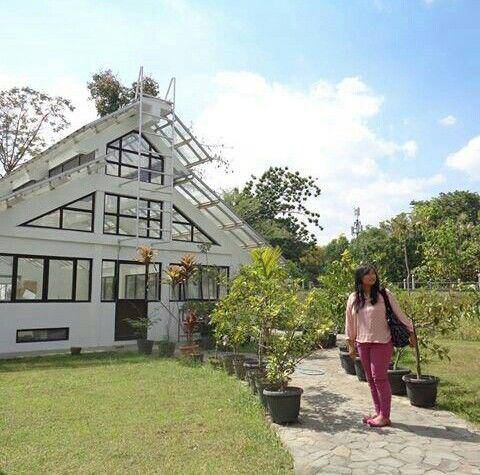 citra cerita jogja