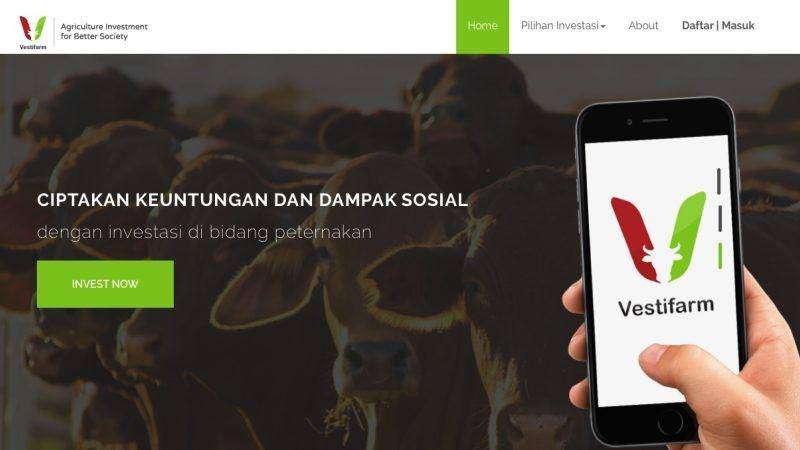 techinasia.com