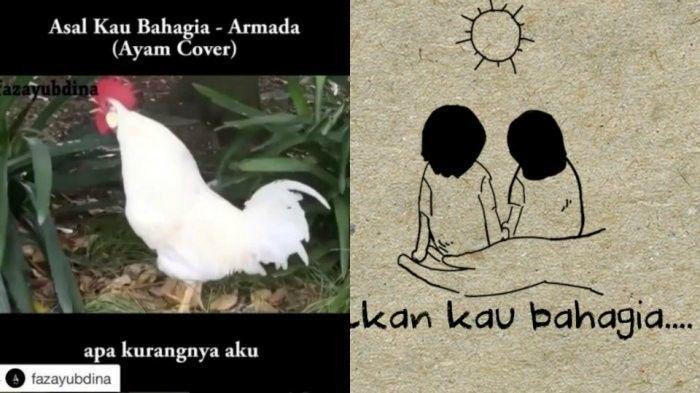 Video Speech Composing Kucing dan Ayam Viral di Instagram
