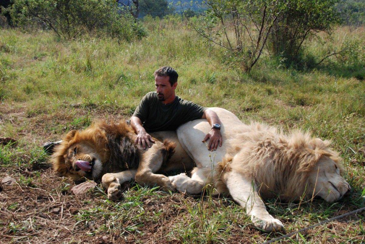 NatGeo TV