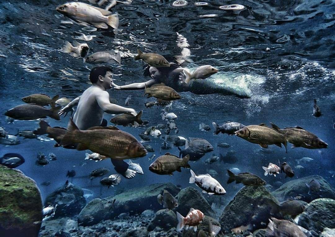 Sensasi Snorkeling & foto Dalam Air di Kolam Mata Air Umbul Ponggok