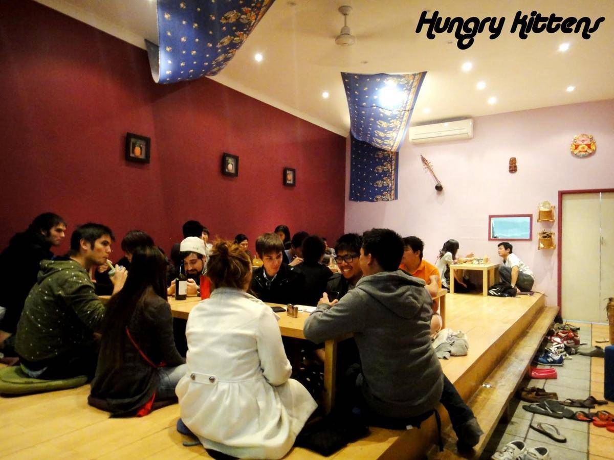 Hungry Kittens - blogger