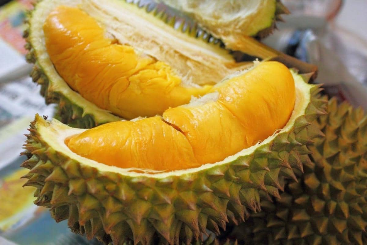 manfaatbuahan.com
