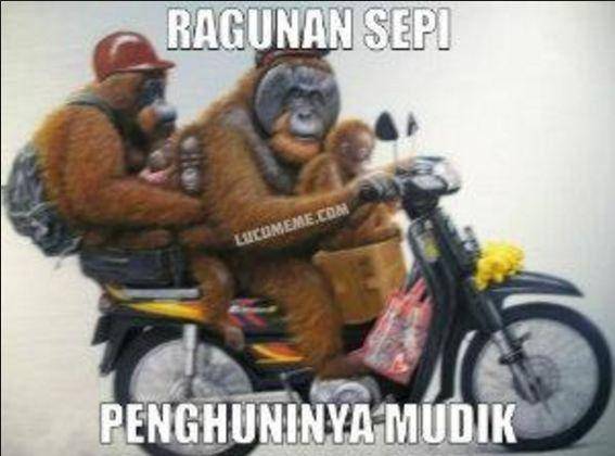 lucu.me