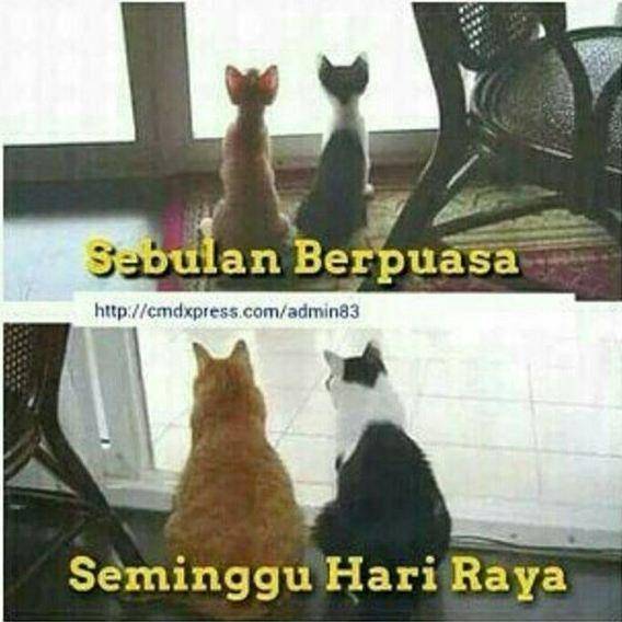 lucu.me