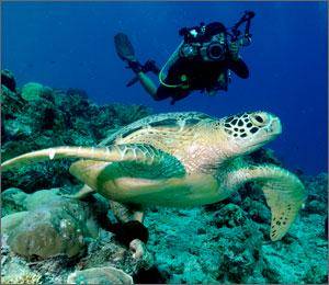 panduanwisata.id