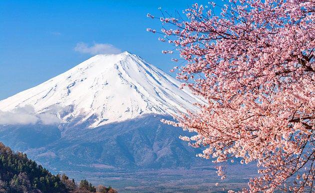 7 Destinasi Wajib di Area Gunung Fuji