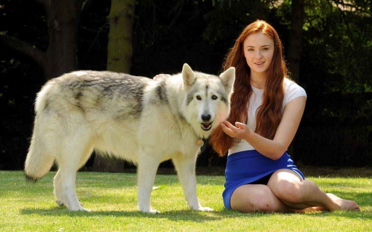 gameofthrones.wikia.com