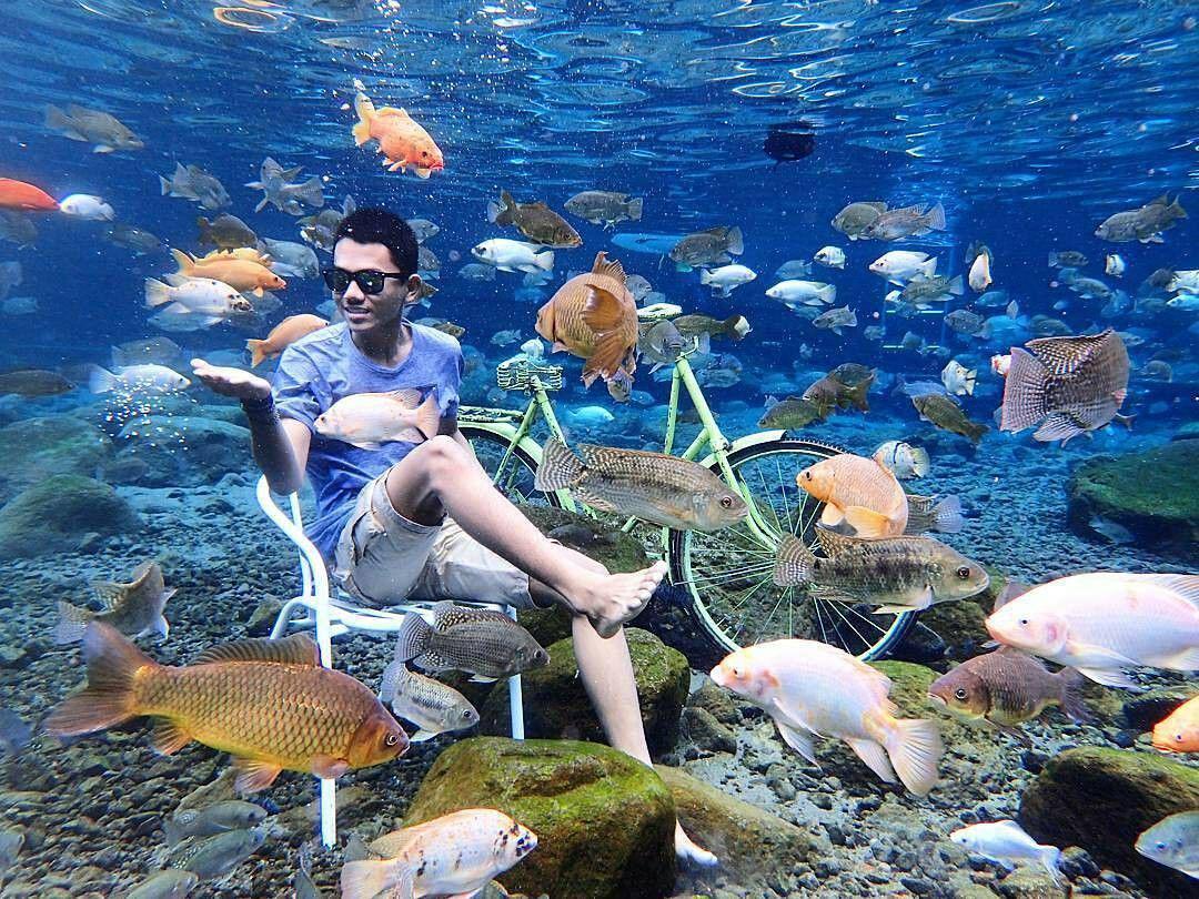 12 Sudut Cantik di Jawa Tengah yang Paling Instagrammable