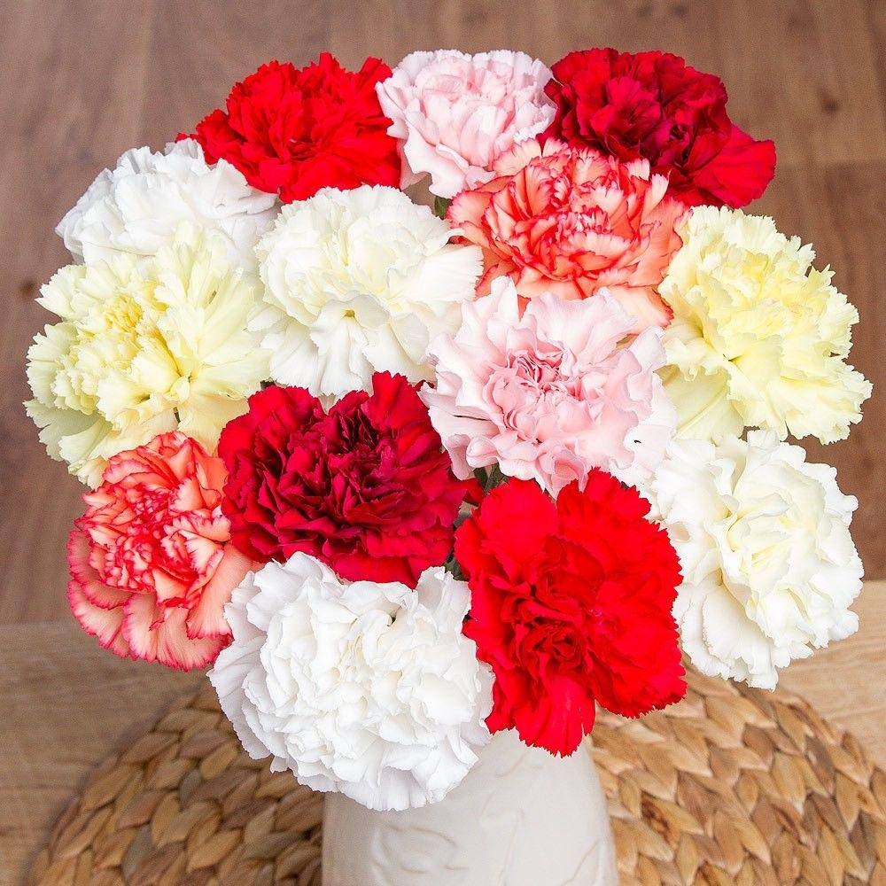 bunches.co.uk