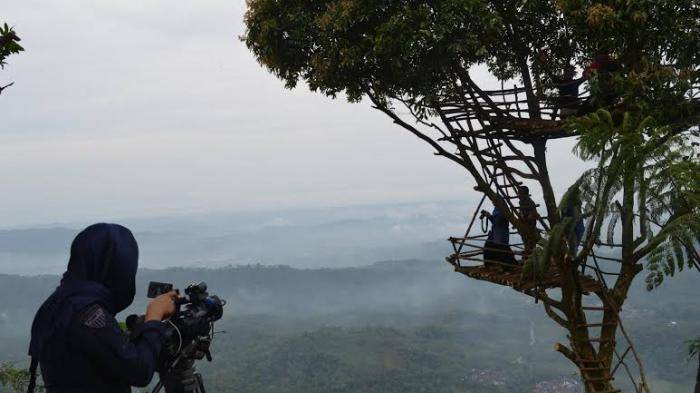 jateng.tribunnews.com