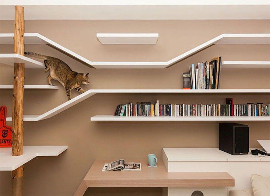 10 Inspirasi Desain Rak Buku Super Kreatif