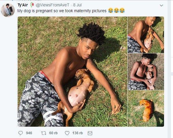 Photoshoot Kehamilan Bersama Anjing, Pria Ini Dipuji Netizen