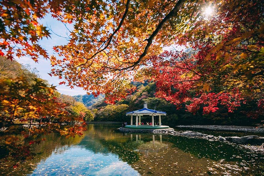 8 Taman Nasional di Korea Selatan yang Terkenal Dengan Eksotisnya!