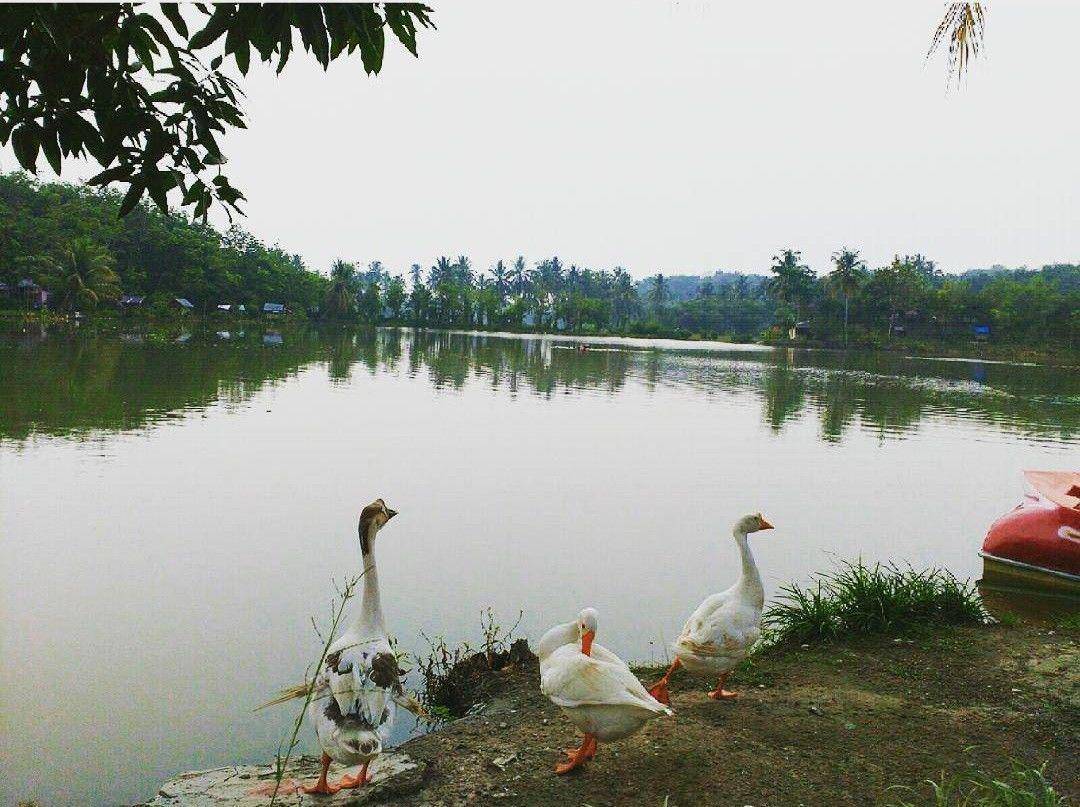 instagram.com/rachmanfadillahh/