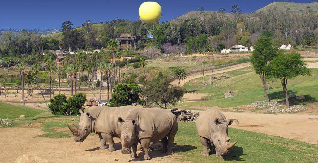 sdzsafaripark.org