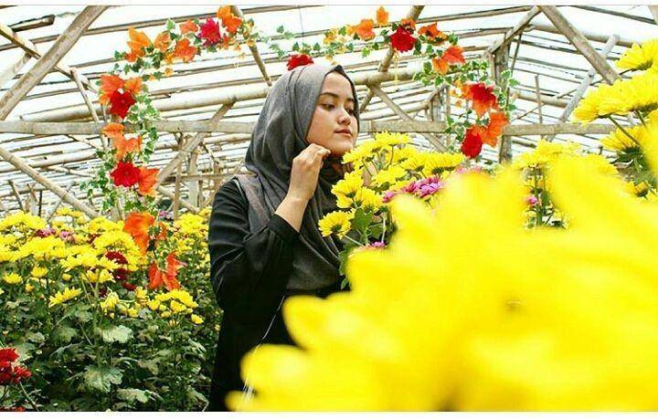 instagram.com/setiya_aji_flower_farm