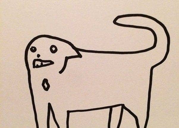 5 Gambar Kucing Asal-asalan Ini Bikin Kamu Ngakak