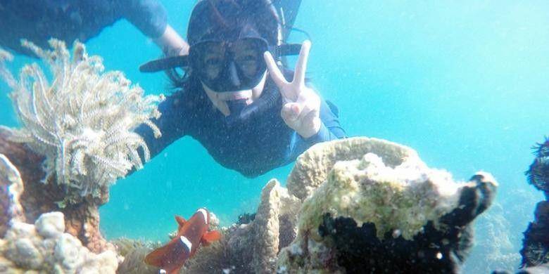 http://travel.kompas.com