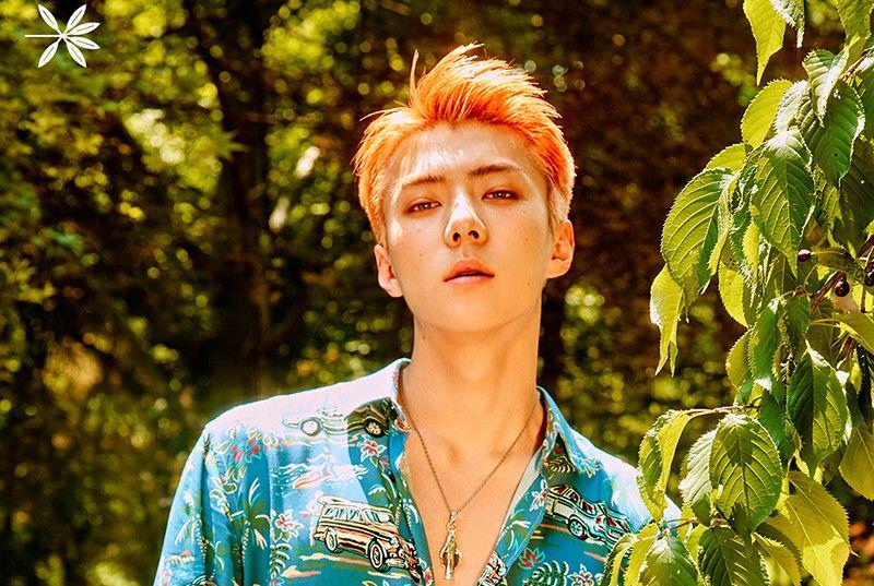 Ketika Foto Teaser EXO "Ko Ko Bop" yang Diubah Pakai FaceApp, Begini Hasilnya