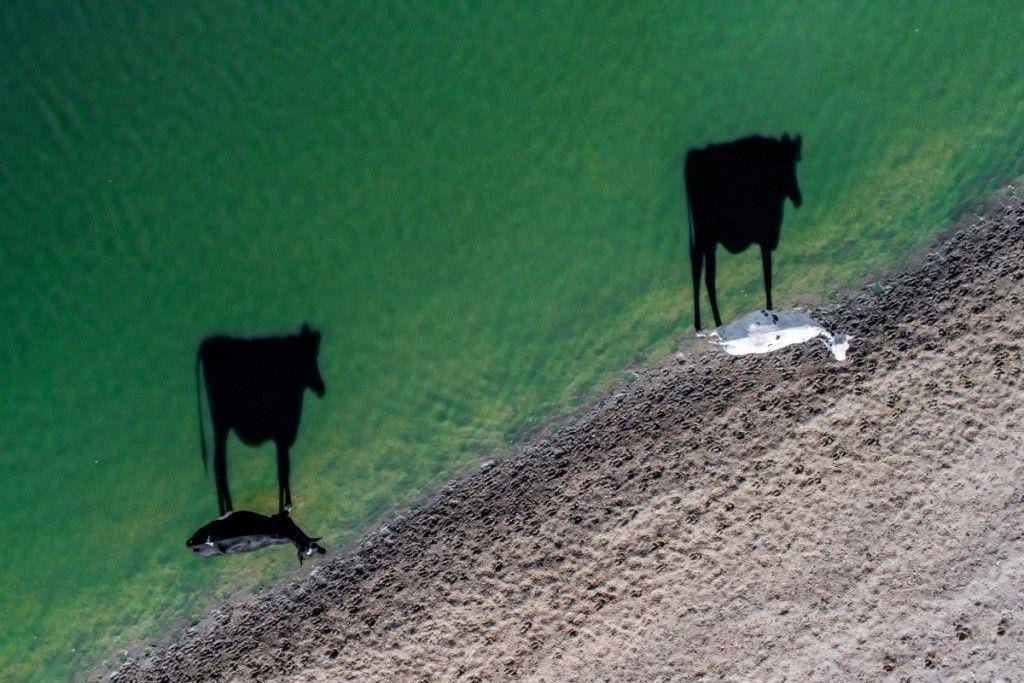 Dronestagram