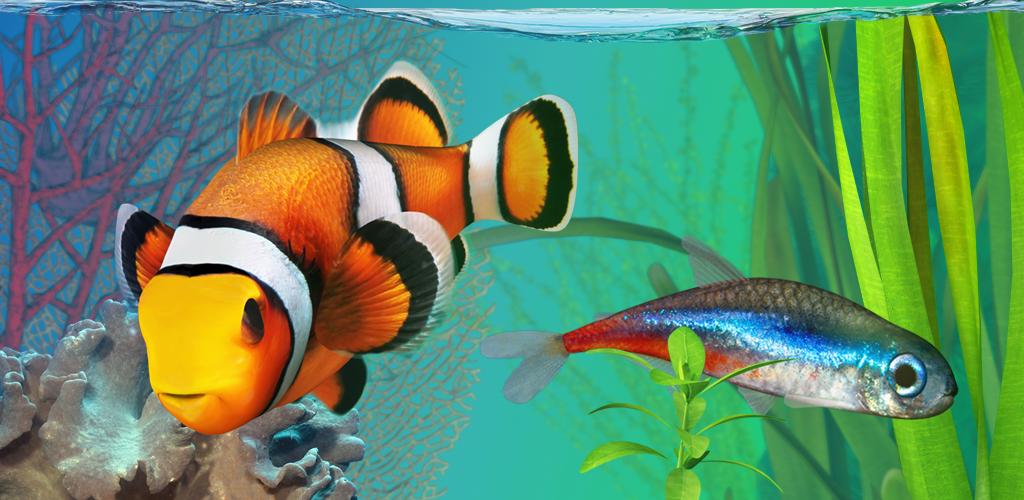 5 Game Android Buat Kamu yang Hobi Pelihara Ikan di Akuarium