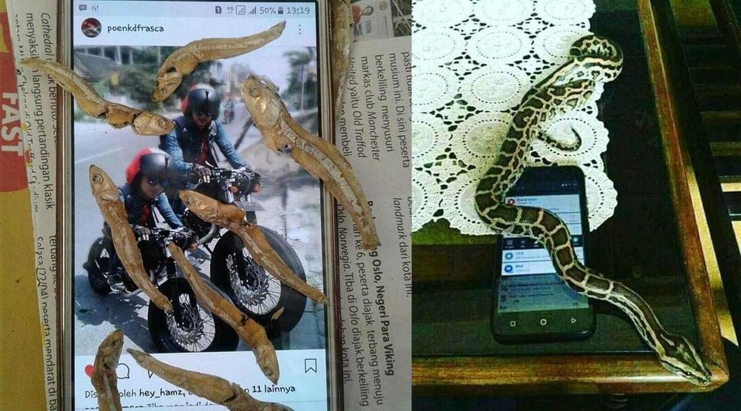 Layar Smartphone Muncul Ular, Beragam Meme Kocak pun Bikin Ngakak!