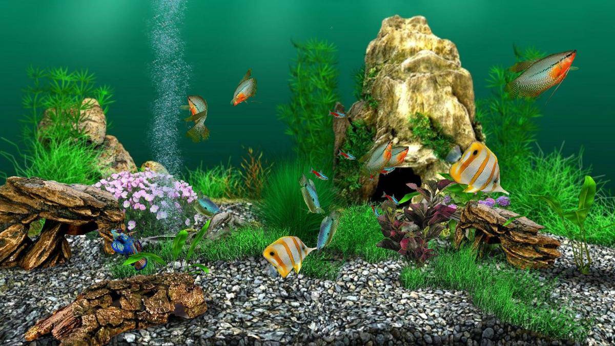 comeherefishyfishy.com