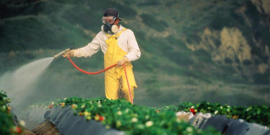 Waduh, 10 Buah dan Sayur Ini Mengandung Tingkat Pestisida Paling Tinggi