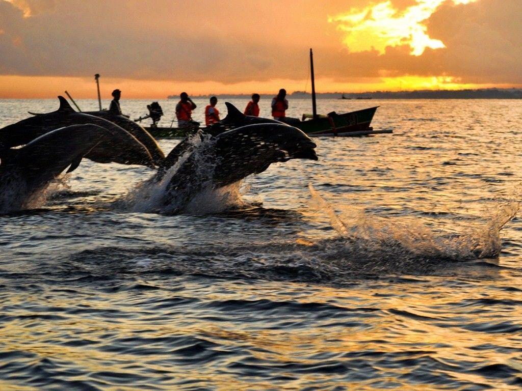 Destinasi Wisata di Bali Utara yang Sayang Kalau Kamu Lewatkan