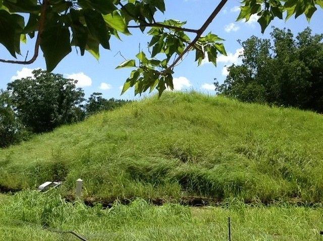 FOTO: Ini Bukan Gundukan Rumput Melainkan Rumah, Unik Kan?