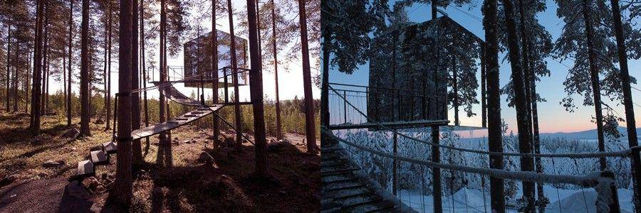 Tree Hotel