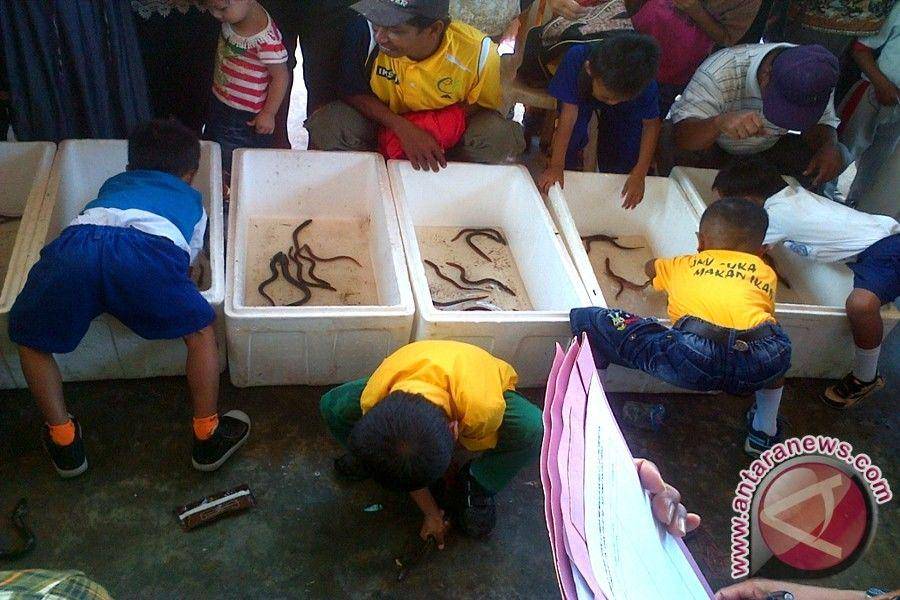antarasulteng.com