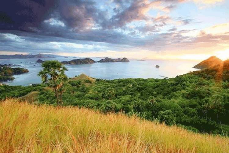 tourism.nttprov.go.id
