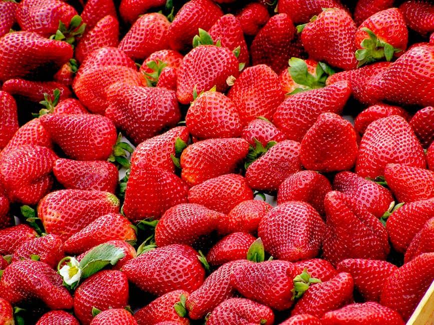 5 Makanan Ini Bisa Mencerahkan Warna Gigimu lho!