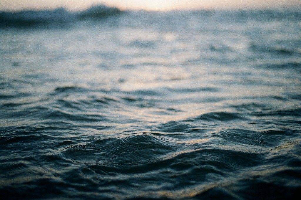 tumblr.com