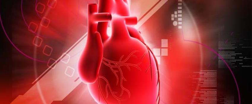 3 Organ Hasil Ciptaan Ilmuwan Ini Mampu Selamatkan Hidup Manusia