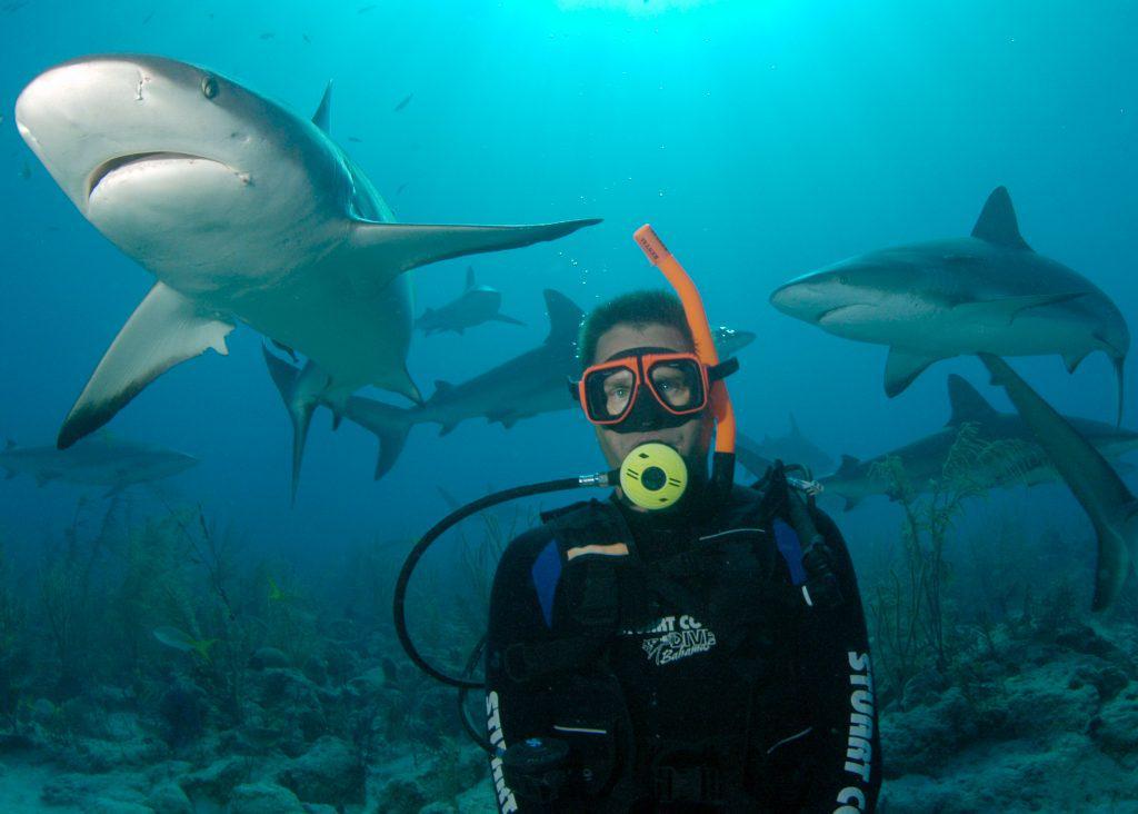 Tahu Gak, Indonesia Mendominasi 15 Spot Diving Terbaik Sedunia Lho!