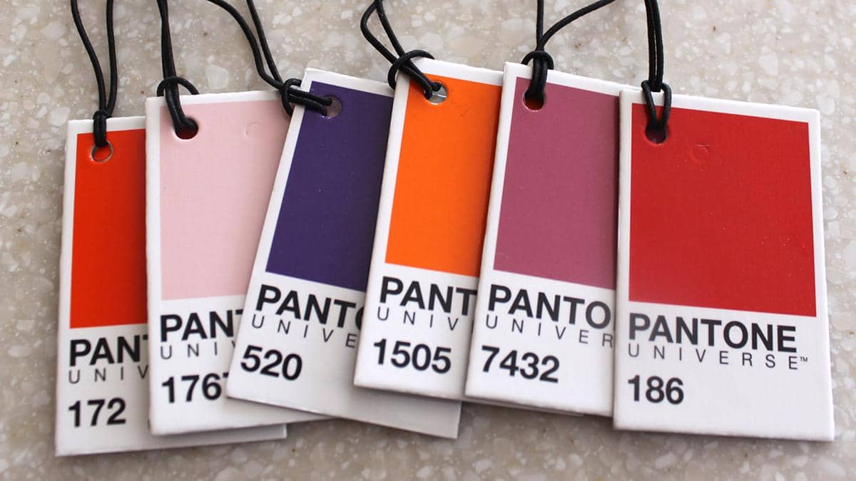 Hanya Sedikit Orang yang Bisa Melihat Perbedaan Warna Ini!