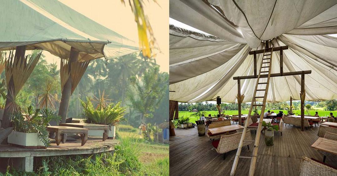 5 Kafe Unik di Ubud yang Lagi Hits, Yuk ke Sini!