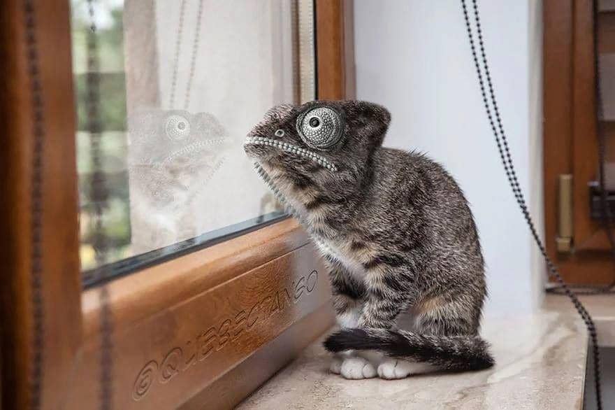 boredpanda.com/author/sderemer