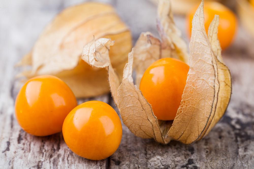 Dianggap Gulma, Justru Buah Ciplukan Punya 3 Khasiat Penting Ini!