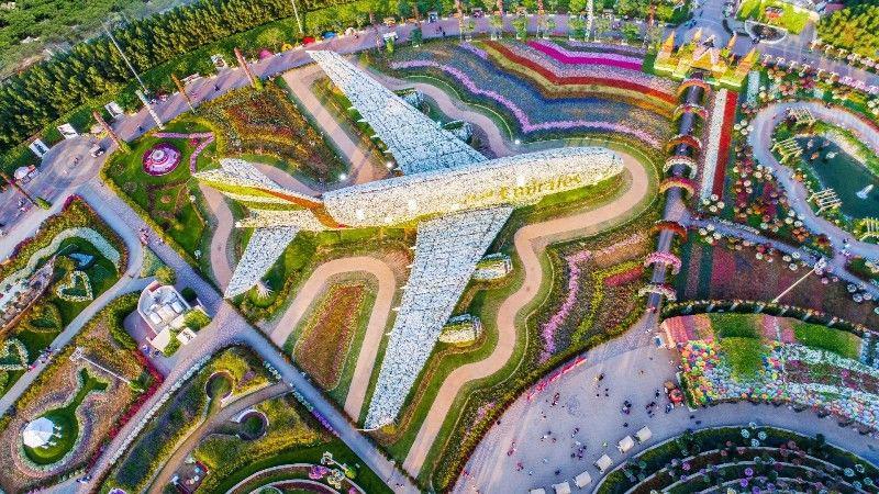 Cantik Banget! Taman Bunga Ini Ada di Tengah Gurun Pasir, lho