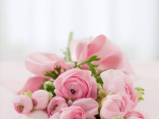 pixabay.com