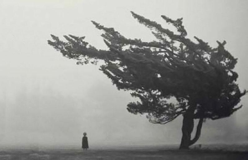 10 Foto Kejadian Misterius yang Tak Kunjung Dapat Dijelaskan